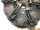 IHC 654 S Kupplungsautomat LUK 220117400 Case 644 744 844 624 724