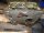 Steyr Plus 540 Getriebe Schaltgetriebe
