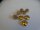 24 Alte Metallknöpfe Antik Tracht ca 17mm Gold
