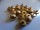 24 Stck.Metallknöpfe Gold Antik ca 15 mm